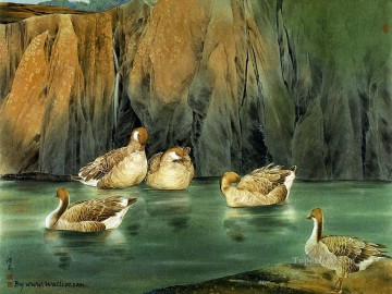 am125D13 animal birds Oil Paintings